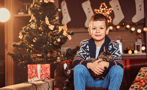 快乐可爱的男孩在圣诞节时坐在装饰房间的沙发上图片