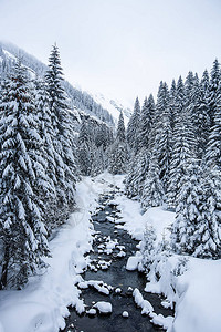 冬季风景有雪覆盖图片