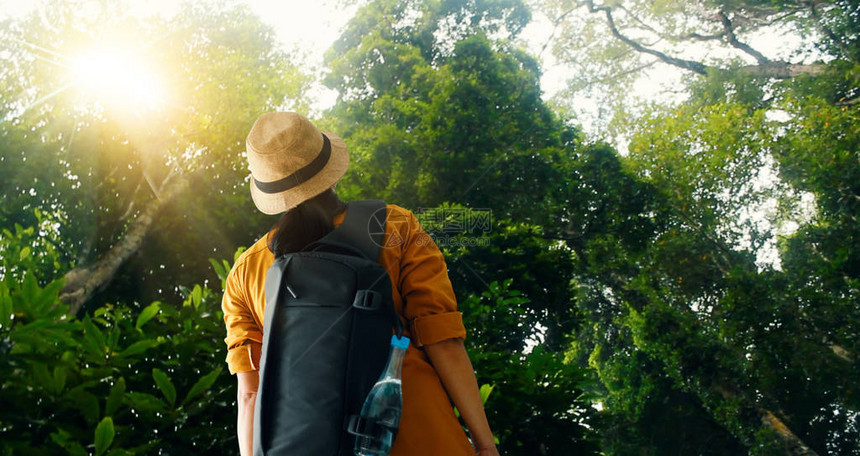 背着包在亚洲热带雨林中探索和徒步旅行的旅行女图片