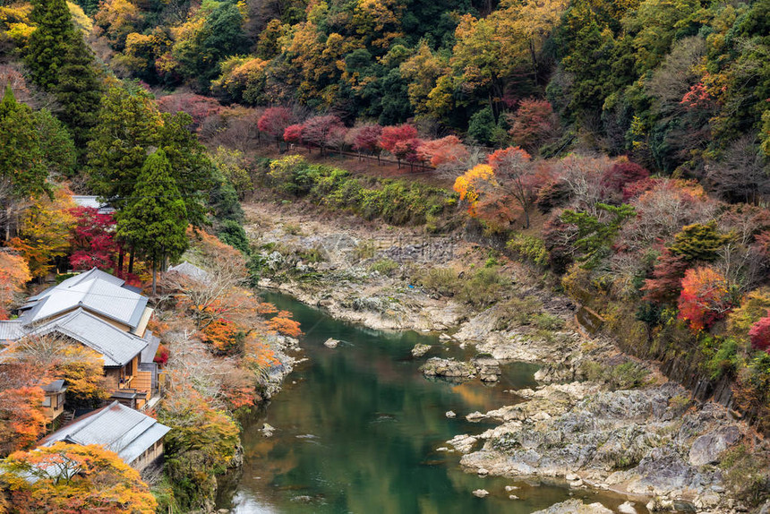 桂河附近房屋的顶角和五颜六色的树叶林图片