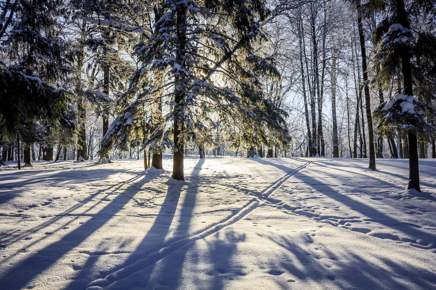 公园里早晨冬天寒冷的风景冬季景观严重的霜冻图片