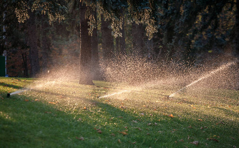 花园里的自动洒水器浇水城市公园图片