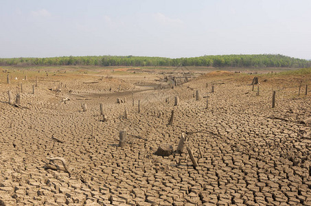 全球暖化夏季的干旱图片