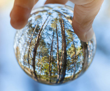 人手握着的玻璃球中反射的树木图片