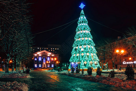 城市中的圣诞树在小广场上的绿灯中图片