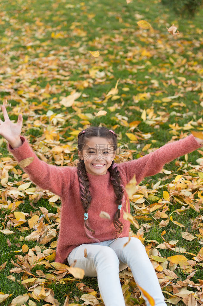 秋叶与自然有秋叶的小孩秋天森林里快乐的小女孩快乐的童年上学时间很高兴在身边不急热爱大自然图片