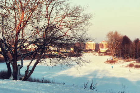 景观路径方式冬天图片