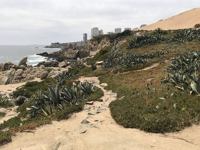 风景和岩石海滩图片