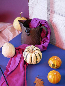 南瓜紫织物黑塑胶蜘蛛万圣节准备家庭具的季节装图片