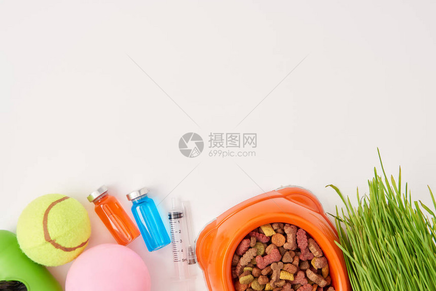 球草塑料碗和狗食注射器图片