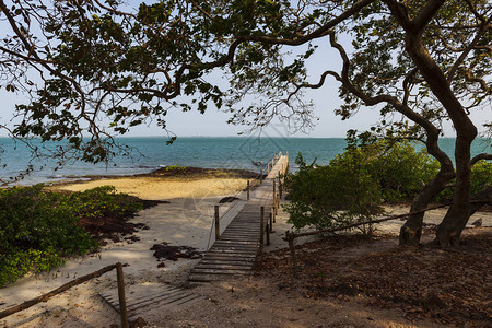 几内亚比绍奥兰戈岛海滩上的美景图片