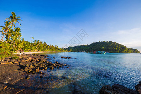 沙滩和岩石海滩以及椰子棕榈树蓝天背图片
