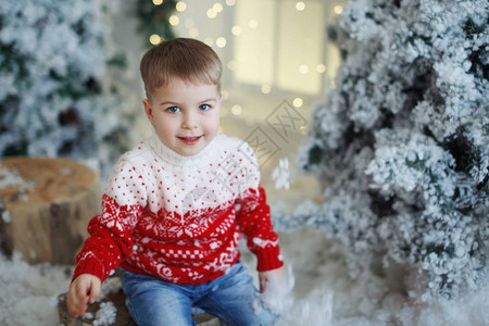 穿着圣诞红毛衣的男孩图片