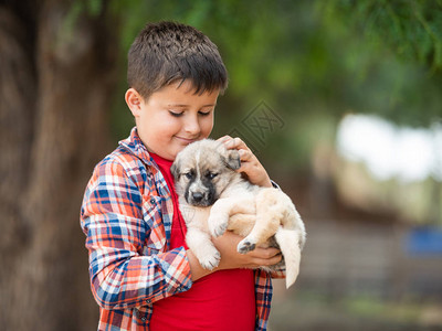 孩子抱着一只小狗孩子们喜欢动物图片