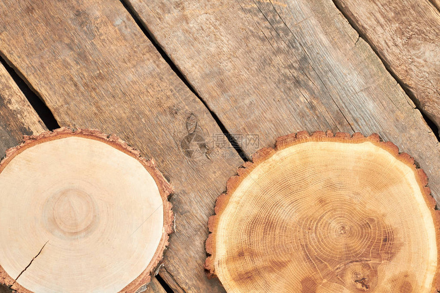 木板上的树片天然木片和复制空间图片