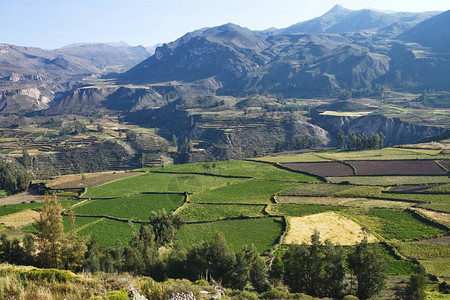 深谷科尔卡峡谷秘鲁图片