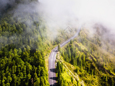 山路被雾笼罩图片