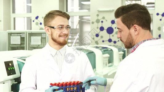 两个同事站在实验室里一个人拿着一个带试管的架子第二个实验室助理指着他背景图片