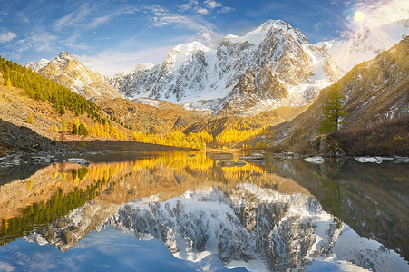 明亮的黄色秋天山湖俄罗斯西伯利亚阿尔泰山高清图片