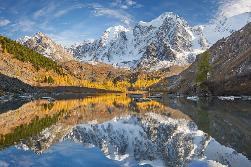 明亮的黄色秋天山湖俄罗斯西伯利亚阿尔泰山图片