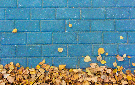 蓝色铺路石砖顶视图上的秋叶图片