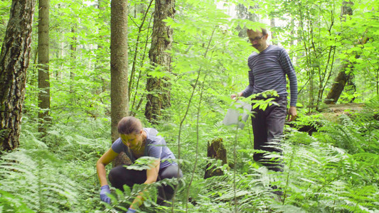 森林中的人类和女科学家环境学家他们采集高清图片