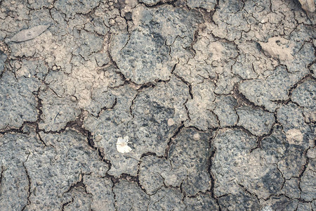 在夏季将地面上的干燥土壤和岩石开裂图片