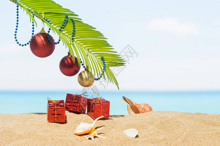 热带沙滩上的圣诞树装饰热量区新年假期的概念图片