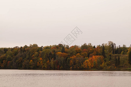 秋季公园森林景观有图片