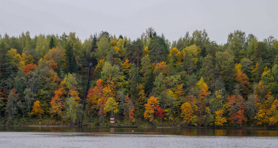 秋季公园森林景观有图片