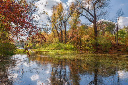 秋天的旅行在河岸上秋天的颜色图片