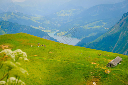 阳光明媚的白天瑞士风景典图片