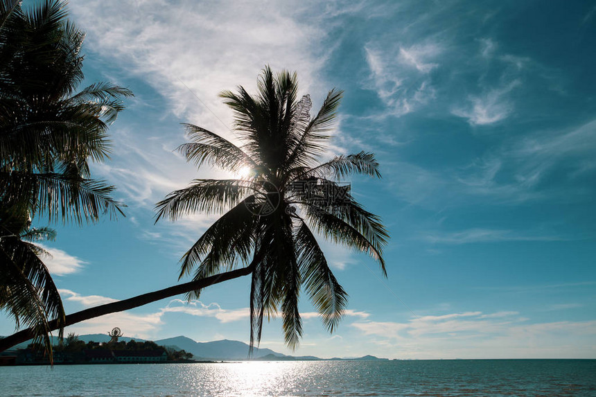 在泰国小山木岛对抗松绿天空的海图片
