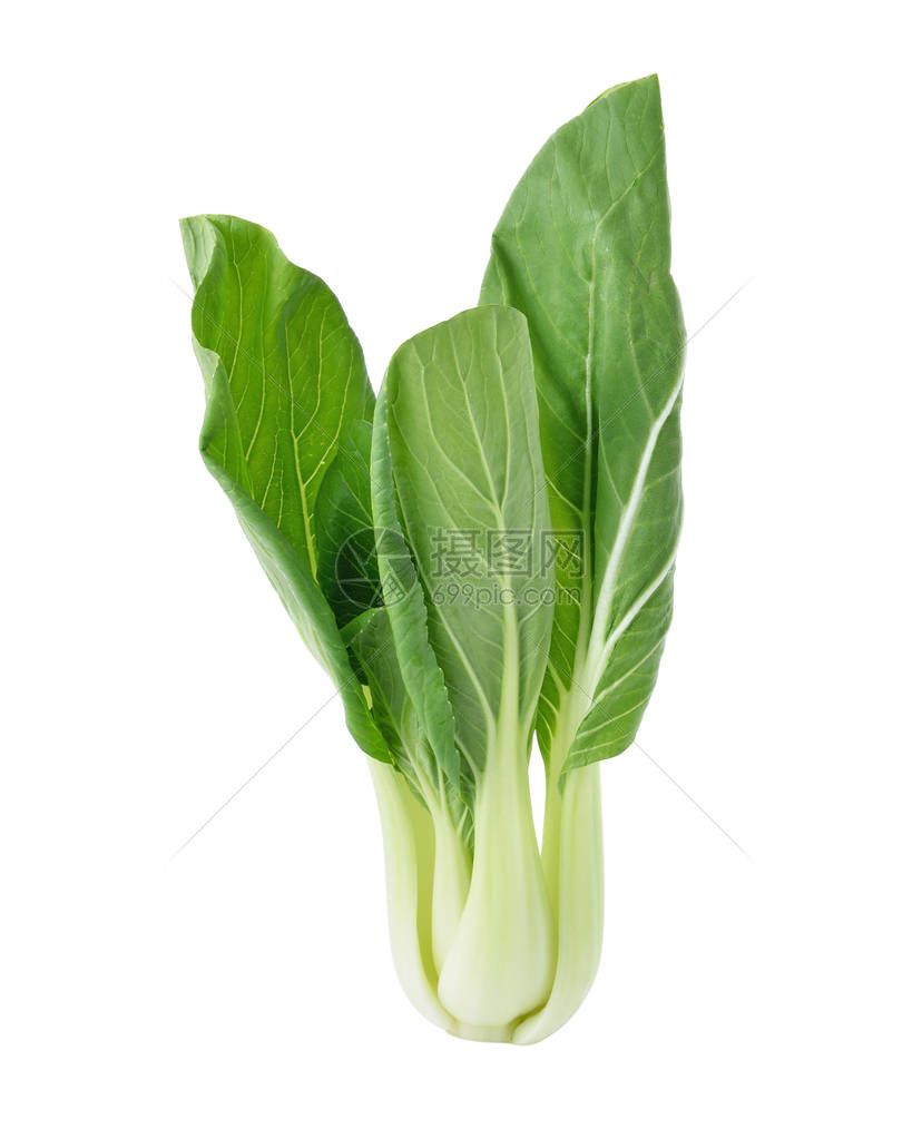 Bokchoy卷心菜在图片