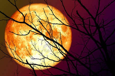 超级血月在天上漂浮图片
