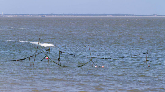 海中的渔网荷兰海岸图片