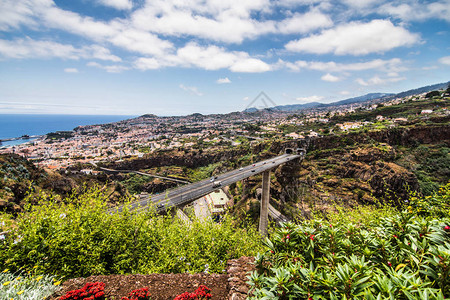 葡萄牙马德拉岛典型地貌景观植物园风景图片