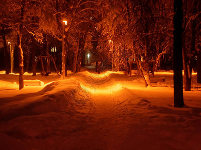 冬季晚上在街上图片