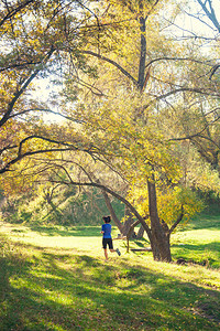 女孩跑过秋天公园苗条的女人在自然中训练在森林里运动布朗特图片