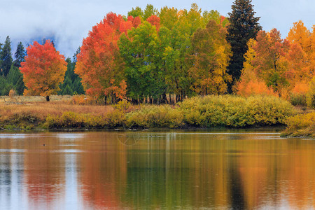 景色秋天的反射风景图片