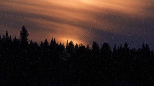 雪中的夜晚冬季森林图片