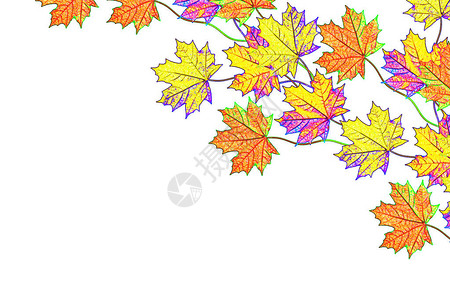 秋天的落叶与世隔绝图片