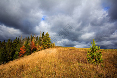 秋天的风景山路穿过田野和树林图片