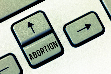 堕胎概念意指故意终止产卵分析妊娠胚胎图片