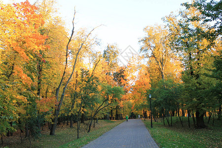 秋天秋天的有趣颜色在城市公图片