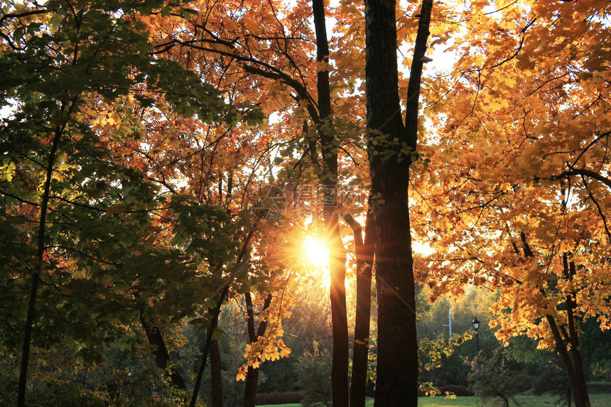 秋的有趣颜色秋天的欢乐色彩阳光照耀着明图片