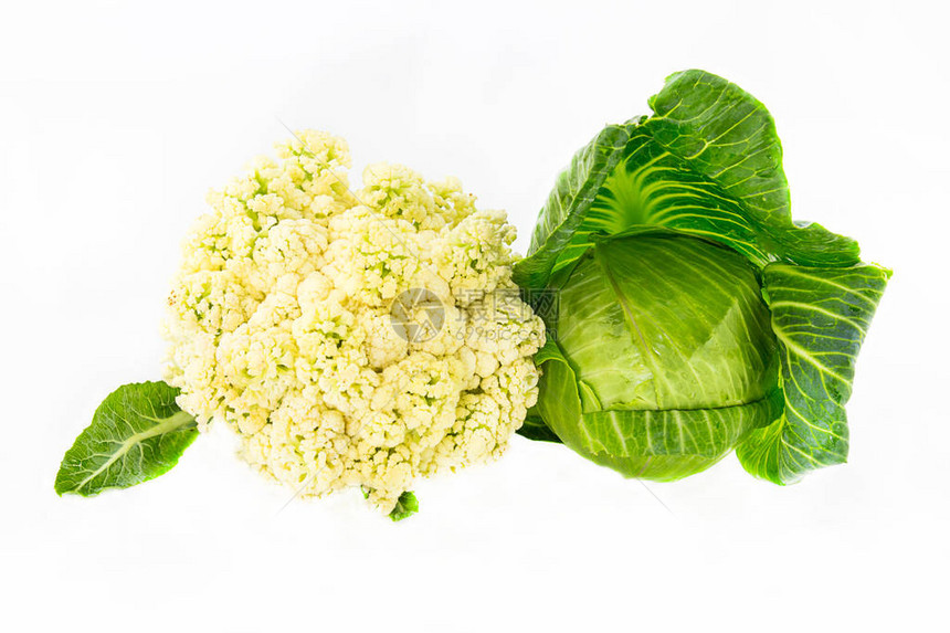 两对卷心菜彩色奶油表面有青绿色叶子在白色的孤立图片