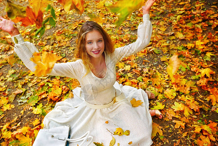 秋季时尚女蕾丝连衣裙图片