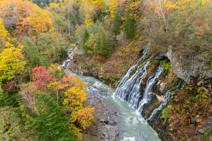 秋天美丽的白月瀑布和彩色树日图片