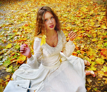 秋季时尚女蕾丝连衣裙图片